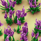 Illustration for article titled 8 Tiny Sculptures You Can Only See With an Electron Microscope